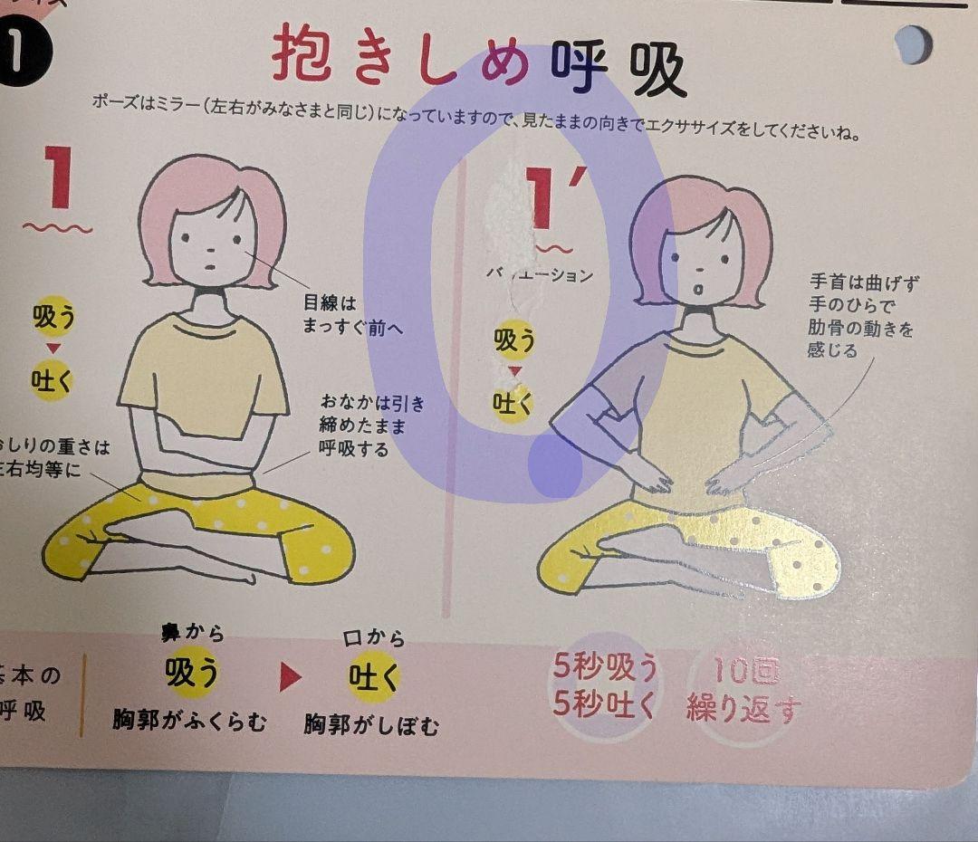 週末SALE！フェリシモ　ゆるいピラティスセット（全10冊）