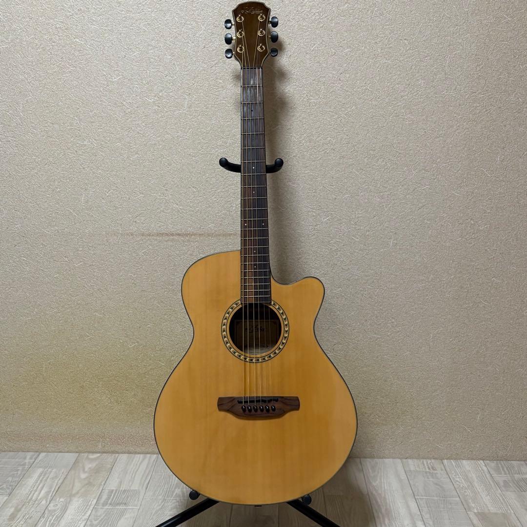 Aria TG-1N アコースティックギター 弦交換済み ソフトケース付き