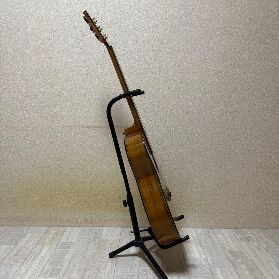 Aria TG-1N アコースティックギター 弦交換済み ソフトケース付き