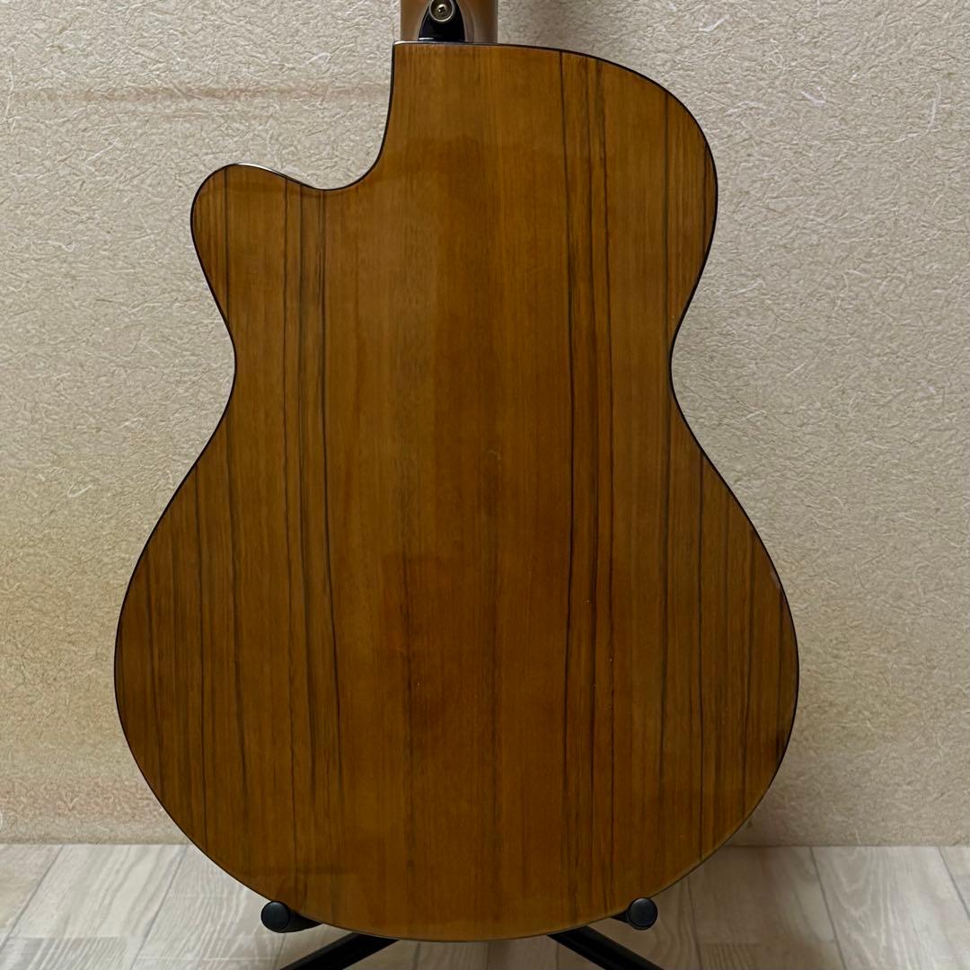 Aria TG-1N アコースティックギター 弦交換済み ソフトケース付き