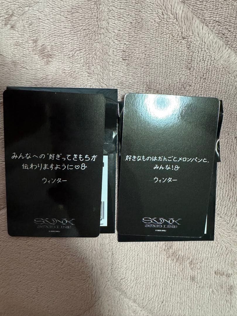 aespa 2025 LIVE TOUR 6000円 特典 トレカ　8種コンプ