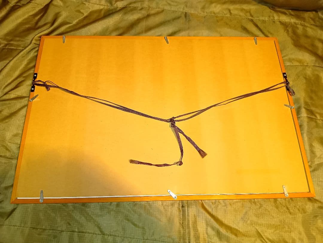 カレン・ホイプティング　into the sun ウサギと洗濯物