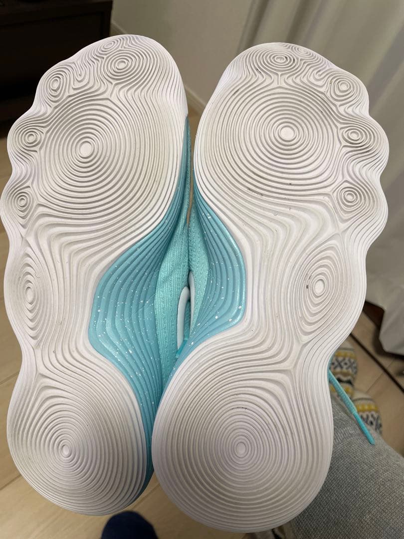 Nike ハイパーダンク 2017 low