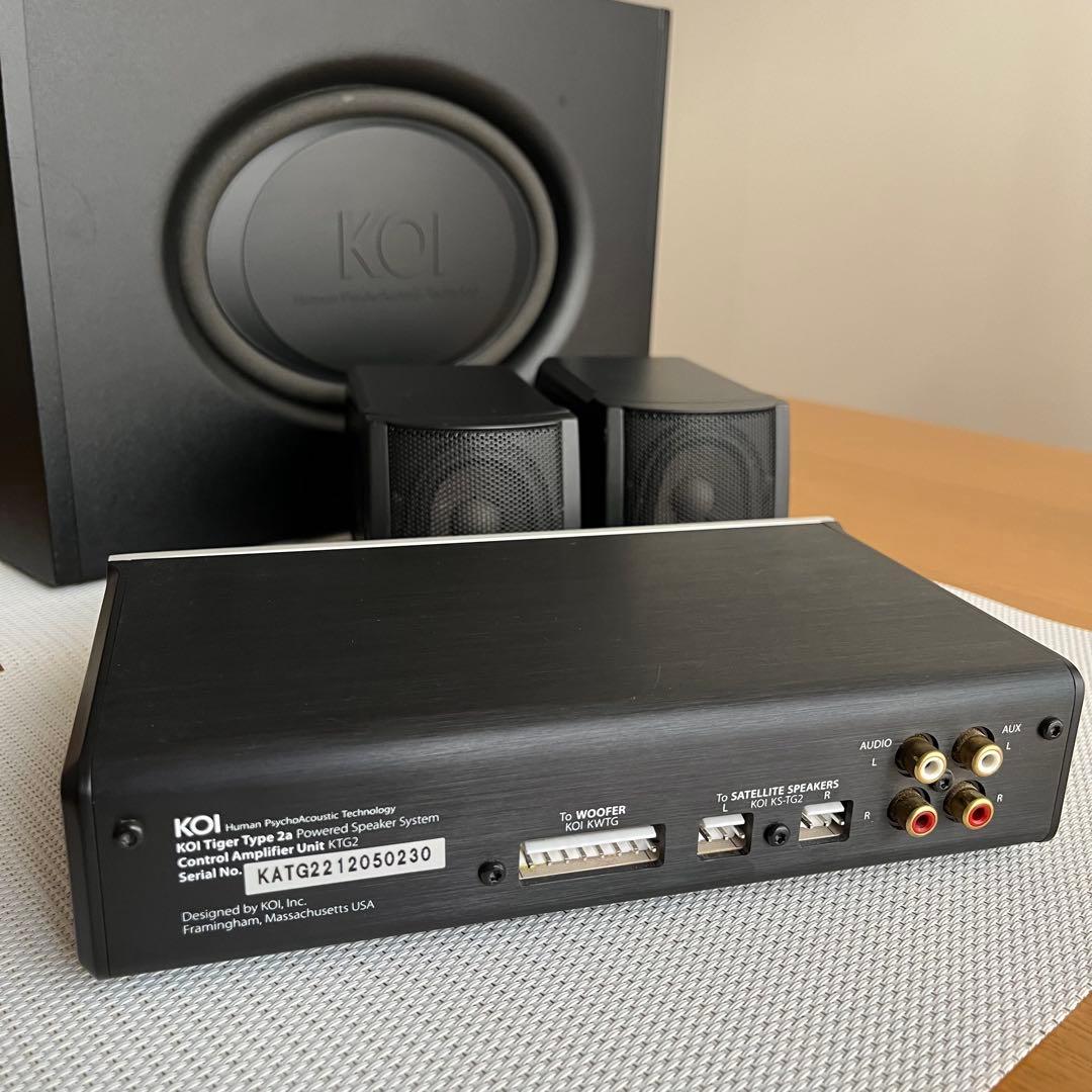 【付属品全揃い】KOI TIGER パワードスピーカーシステム