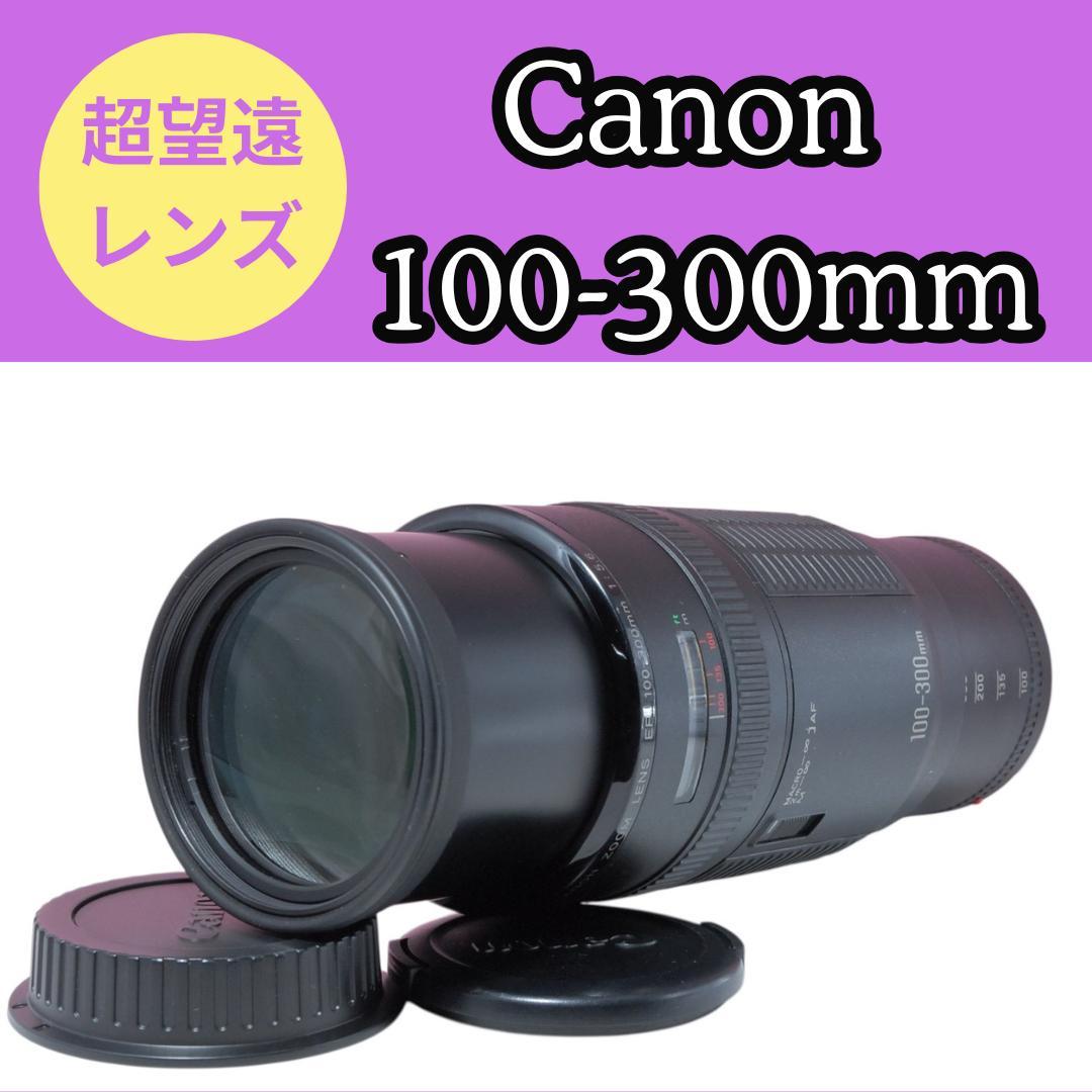最終価格✨美品✨Canon EF 100-300mm 超望遠ズームレンズ
