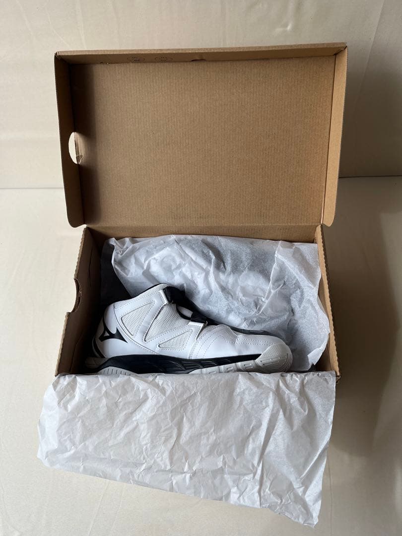 ほぼ新品 バレーボールシューズ25.0 Wave Lightning Z3