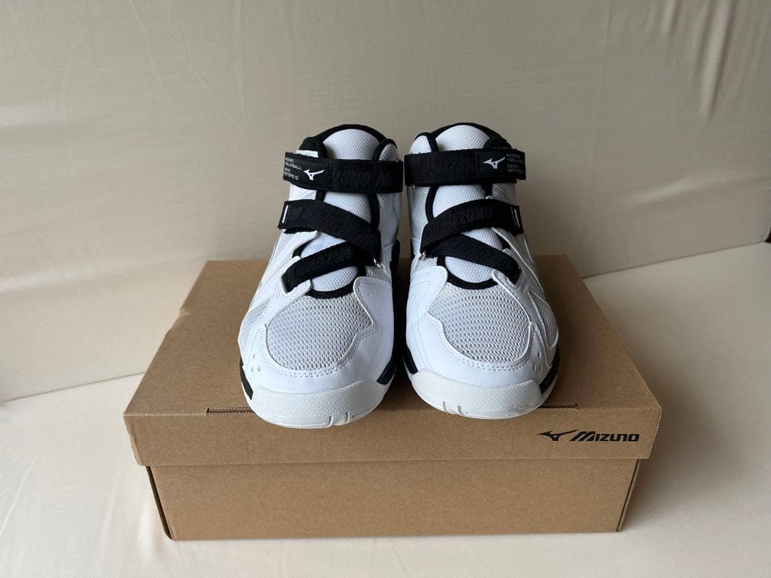 ほぼ新品 バレーボールシューズ25.0 Wave Lightning Z3