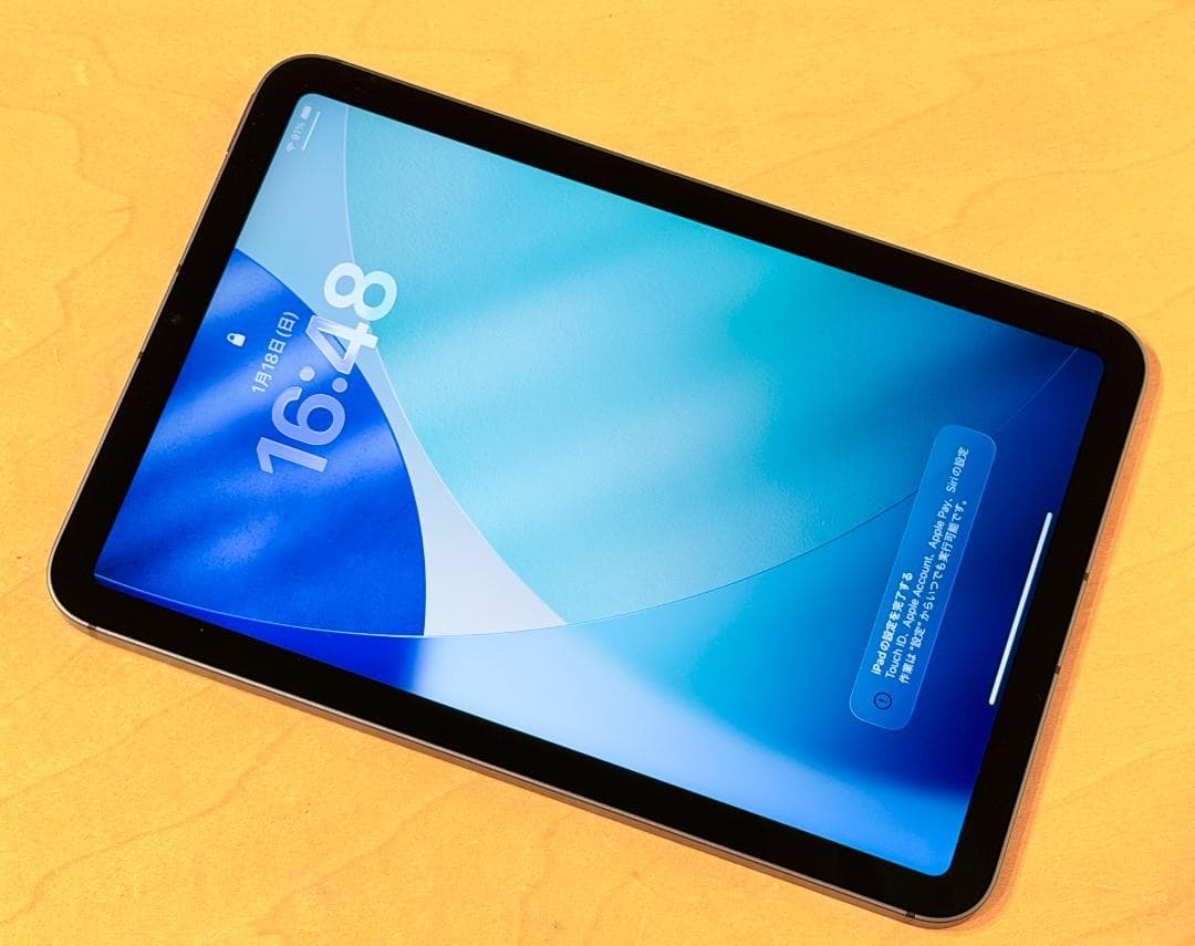 【美品】 iPad mini 第6世代 Wi-Fi＋Cellular フォリオ付