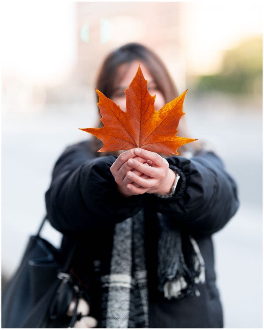 レンズ(単焦点) BOKEH MASTER SIGMA 105mm f1,4 DG HSM