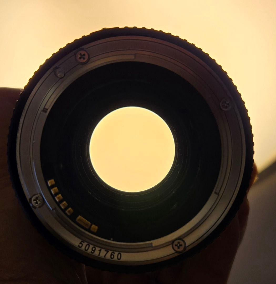 ⭐Canon EF 100mm F2.8L MACRO IS USM ⭐超美品⭐