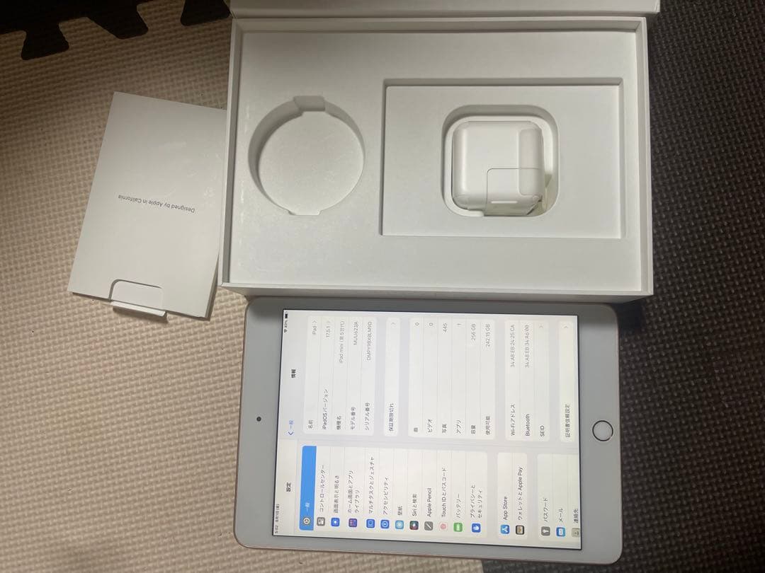 iPad mini 第５世代256GBゴールド