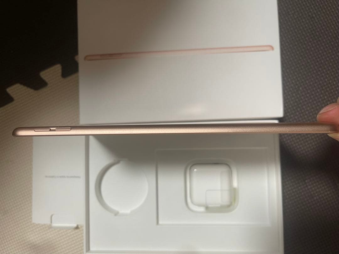 iPad mini 第５世代256GBゴールド