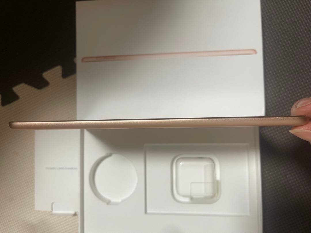 iPad mini 第５世代256GBゴールド