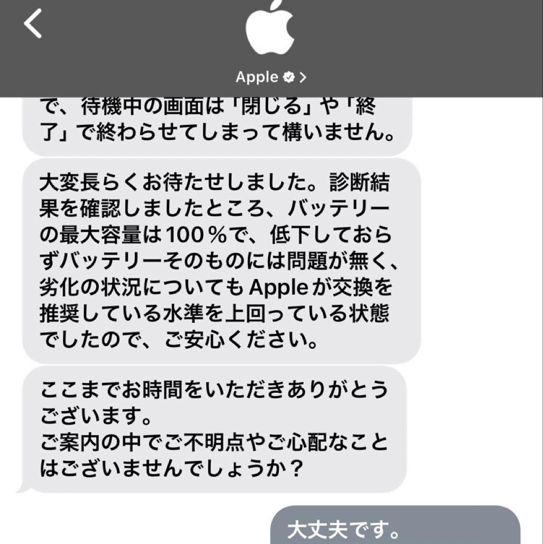 【さくさん】iPad mini (第6世代) スペースグレー美品