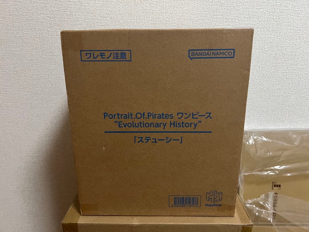 P.O.P EH ステューシー