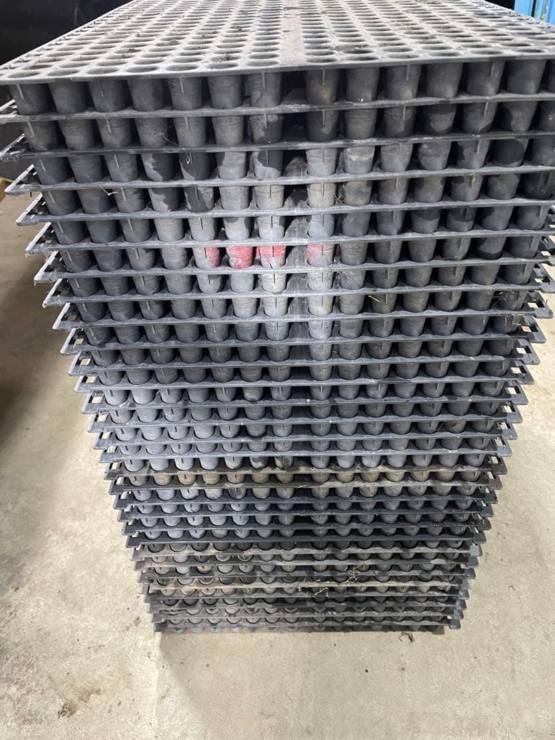 みのるポット30枚