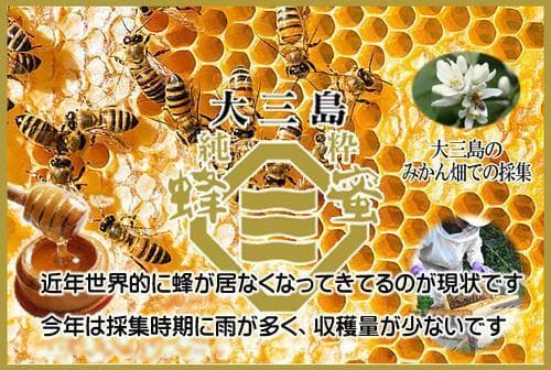 【かえるちゃん】600ｇ蜂蜜×５本　ジュースプレゼント