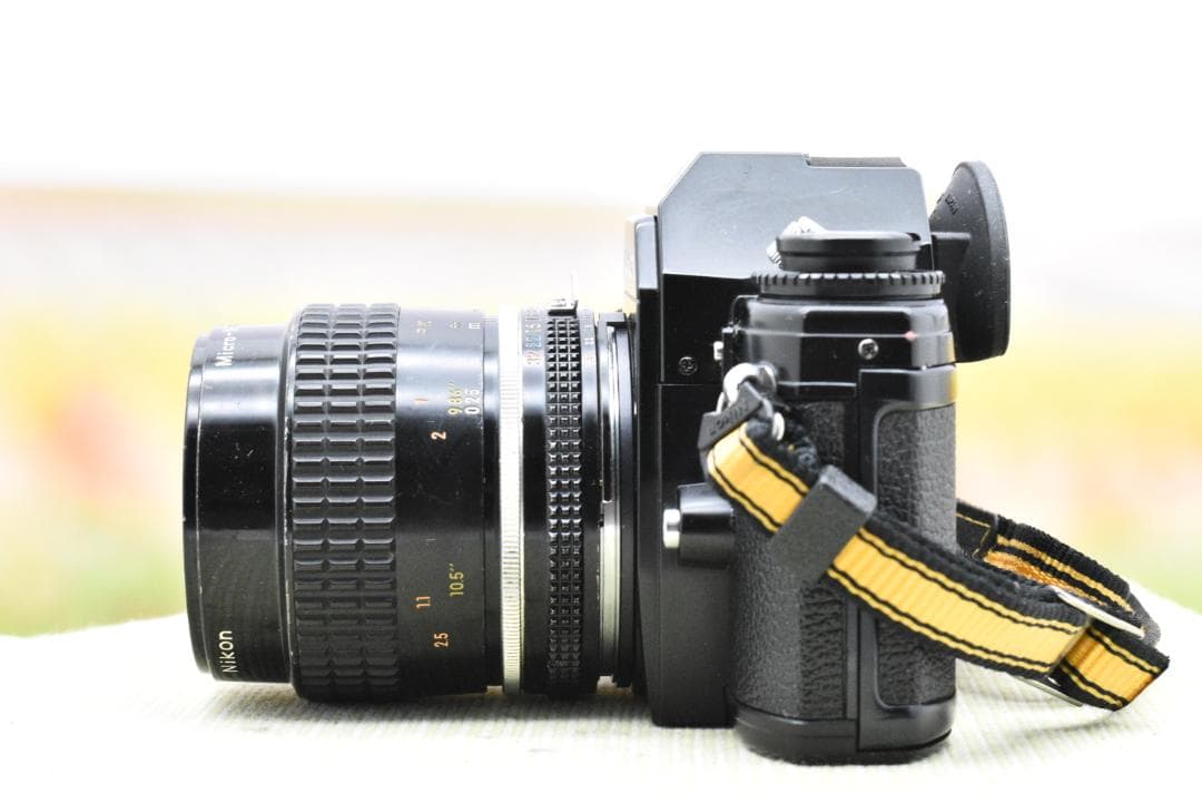 【整備済】 Nikon EM + Micro-NIKKOR 55mm F2.8