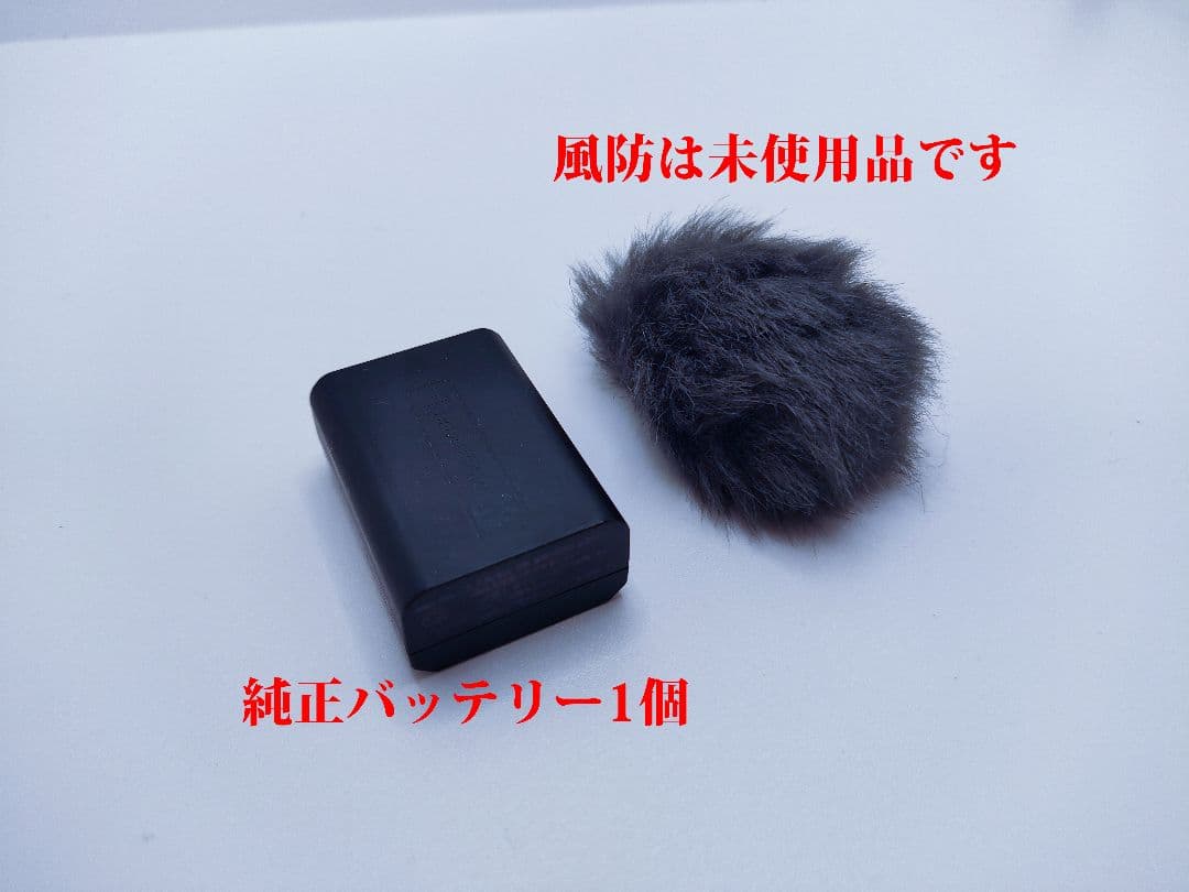 SONY ZV-E10 ミラーレスカメラ フィルターセットで到着後すぐに撮影可能