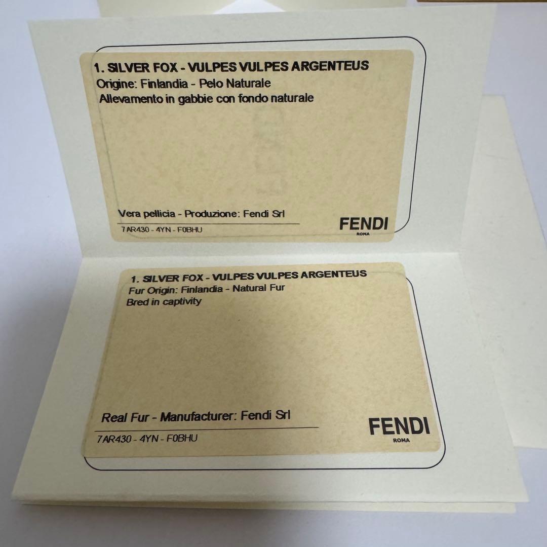 FENDI カール　iPhoneケース