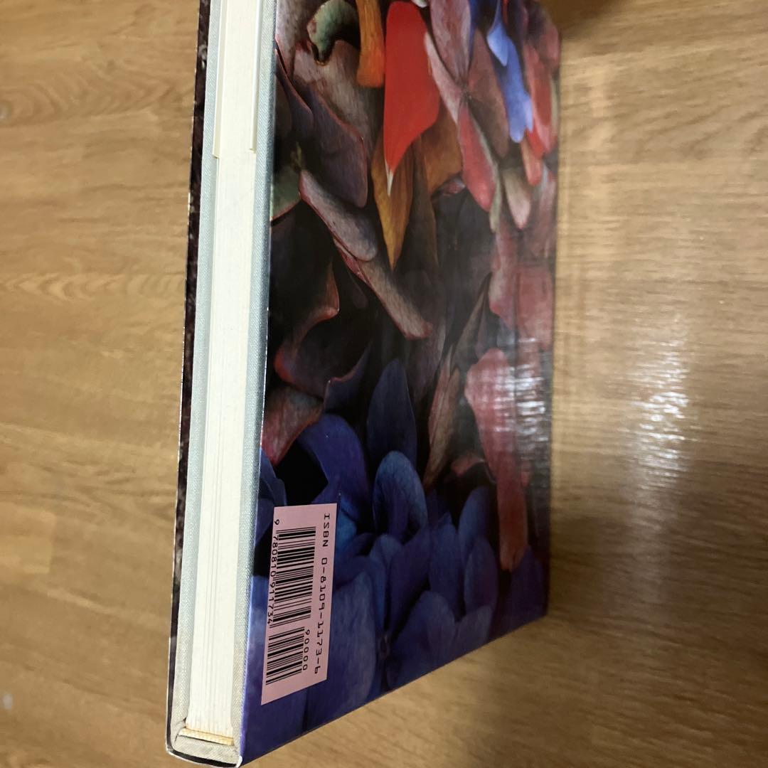 『Color Photography』エルンスト・ハース写真集