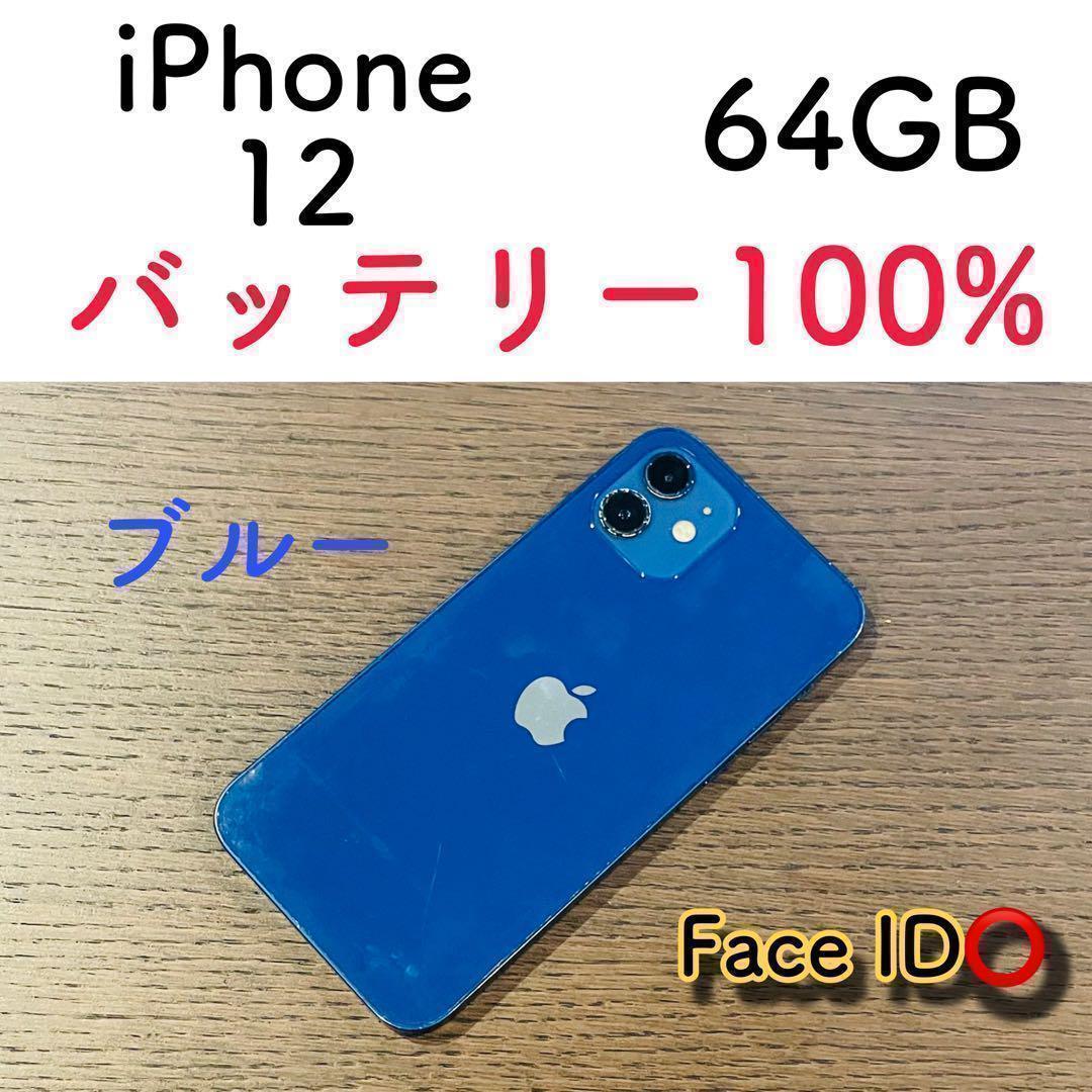 【美品】iPhone12 本体 ブルー 64GB SIMフリー 本体 動作確認済