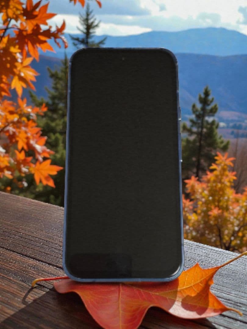 Google Pixel8a bay SIMフリー 極美品