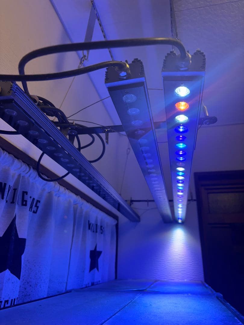 J*0様 orphek or3 3台セット