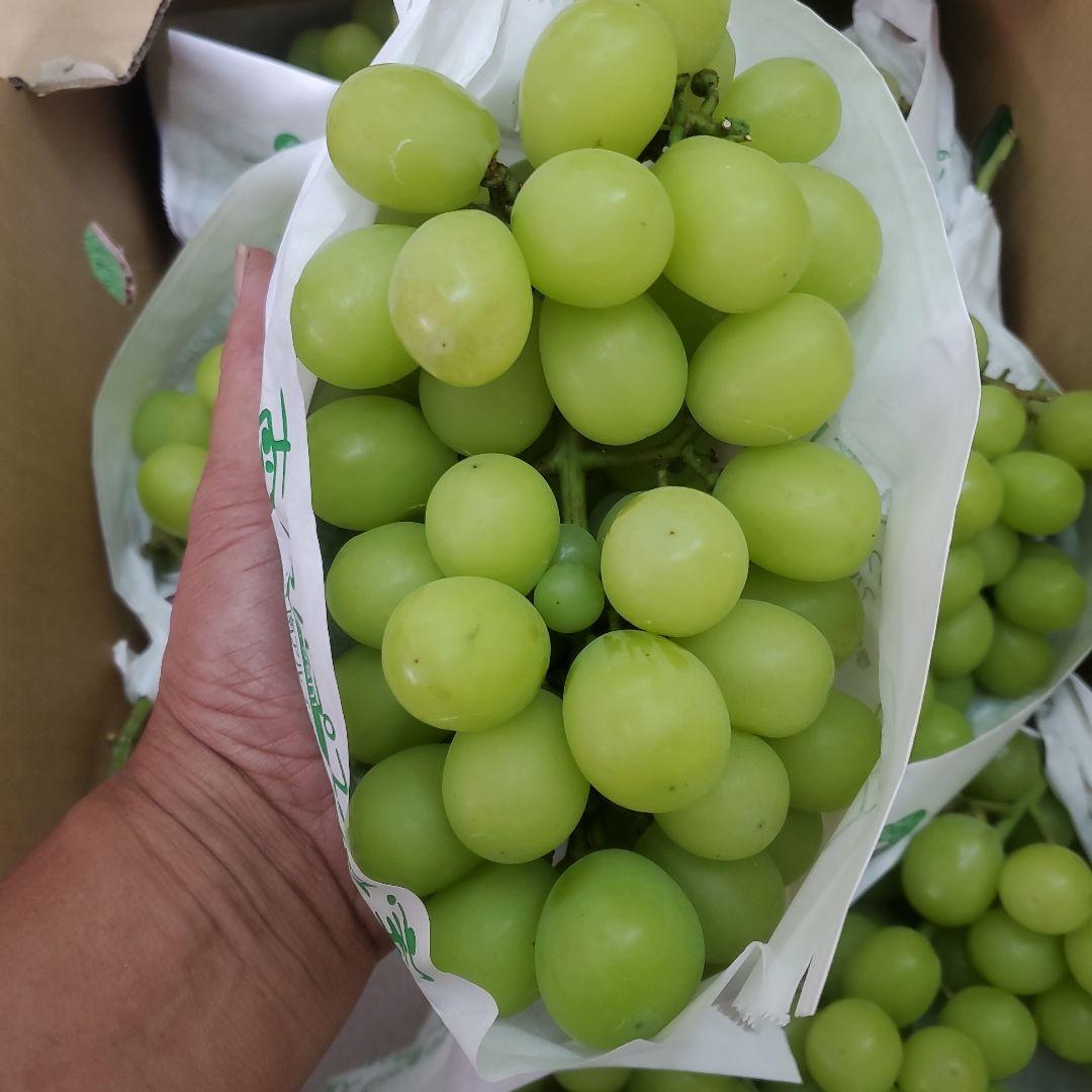 1⃣ 山梨県産 シャインマスカット ７房入り 箱込み4.8キロ