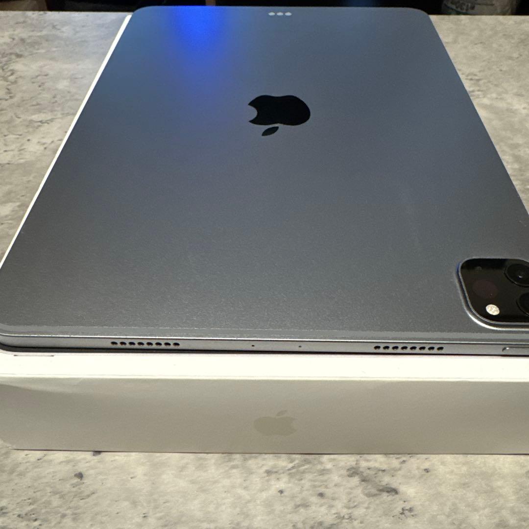 iPad Pro 第4世代 11インチ スペースグレイ 256GB 極美品