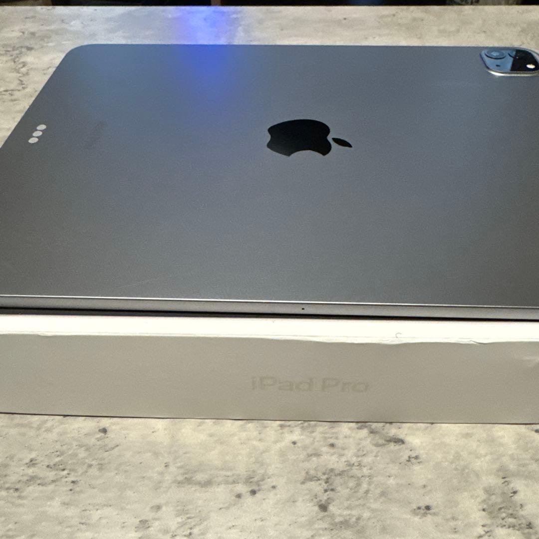 iPad Pro 第4世代 11インチ スペースグレイ 256GB 極美品