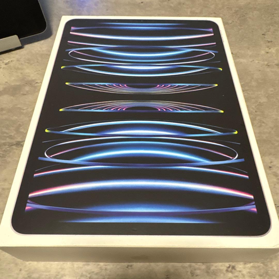 iPad Pro 第4世代 11インチ スペースグレイ 256GB 極美品
