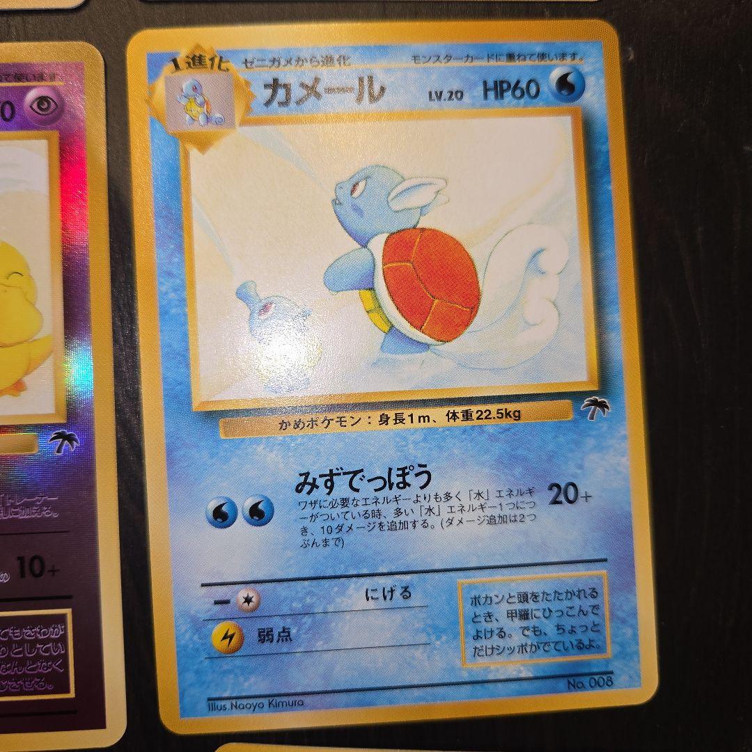 ポケモンカード旧裏 プレミアムファイル/トロピカルアイランド