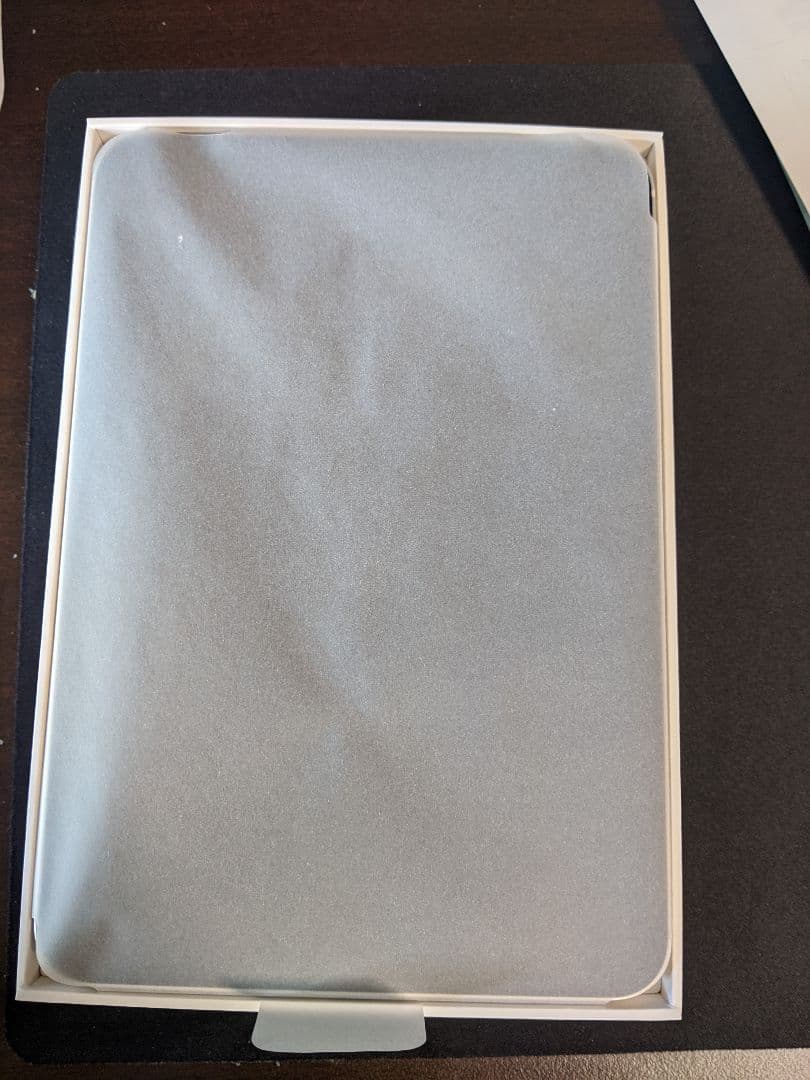 iPad本体 iPad mini a17 pro Cellular