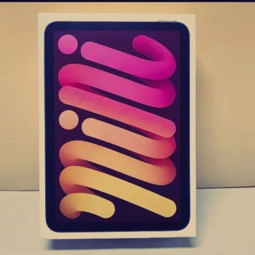 iPad本体 iPad mini a17 pro Cellular