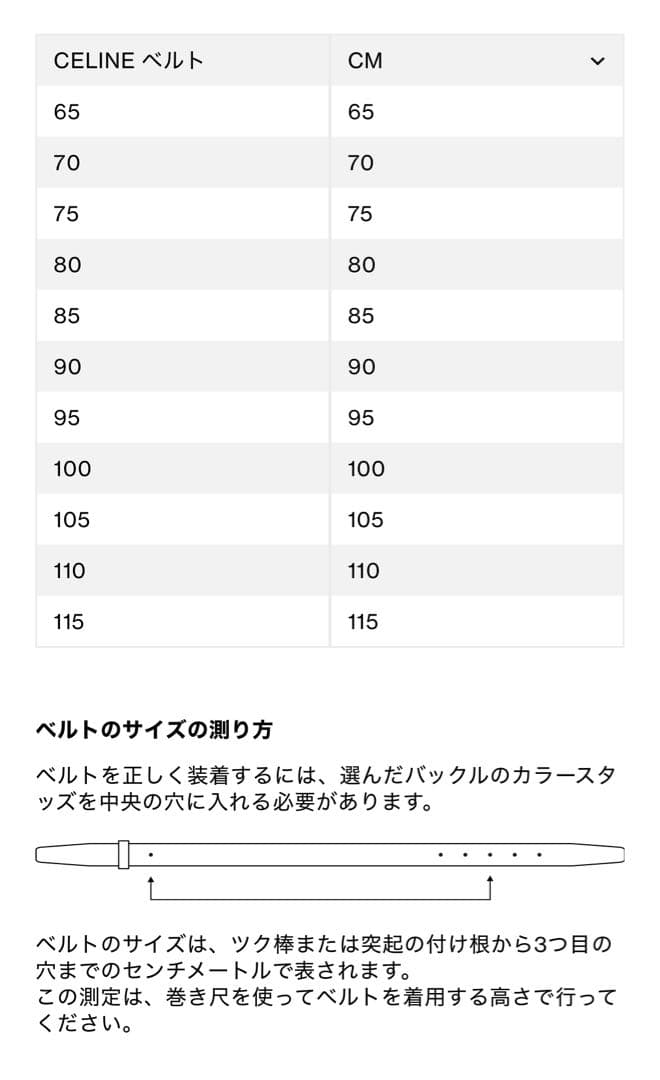 セリーヌ　トリオンフ バックル＆リバーシブルストラップ 25MM