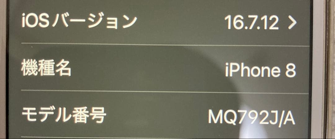 Apple iPhone 8本体