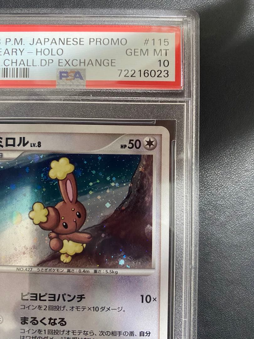 ミミロル プロモ psa10 DP-P ポケモンカード