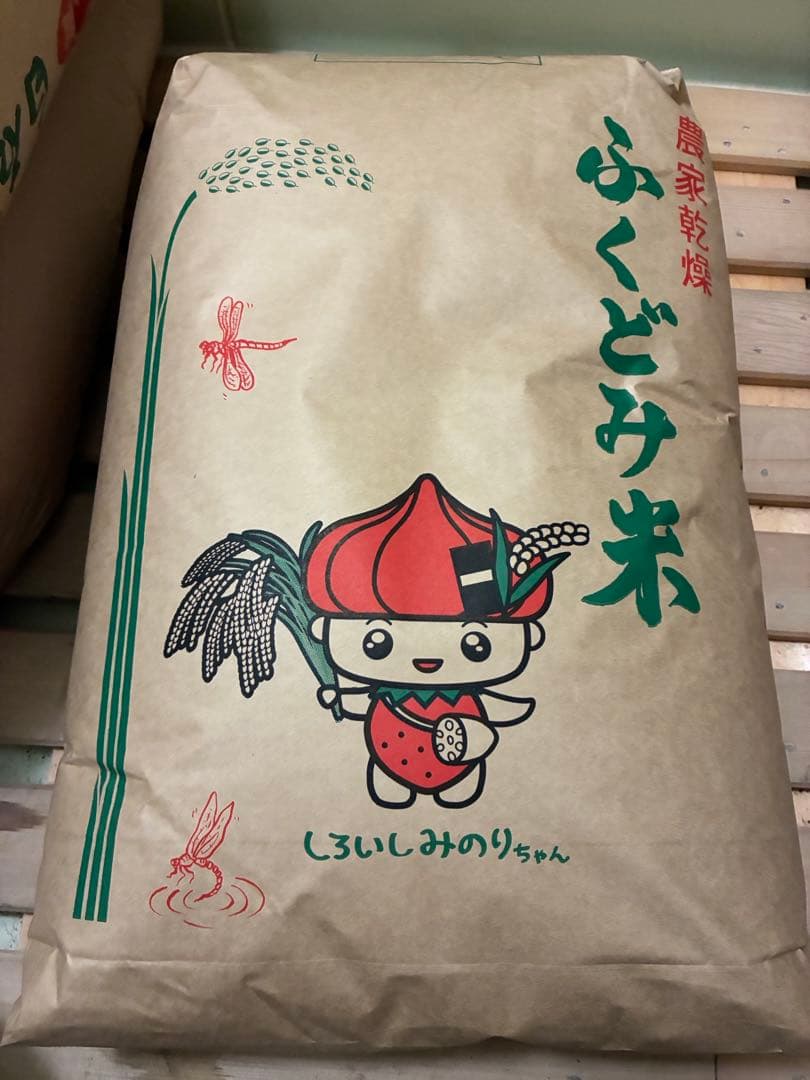 令和七年度産さがびより玄米３０キロ