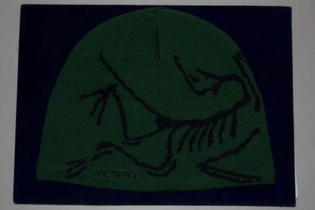 Arc'teryx bird head toque ビーニー グリーン