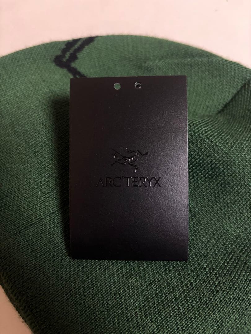Arc'teryx bird head toque ビーニー グリーン