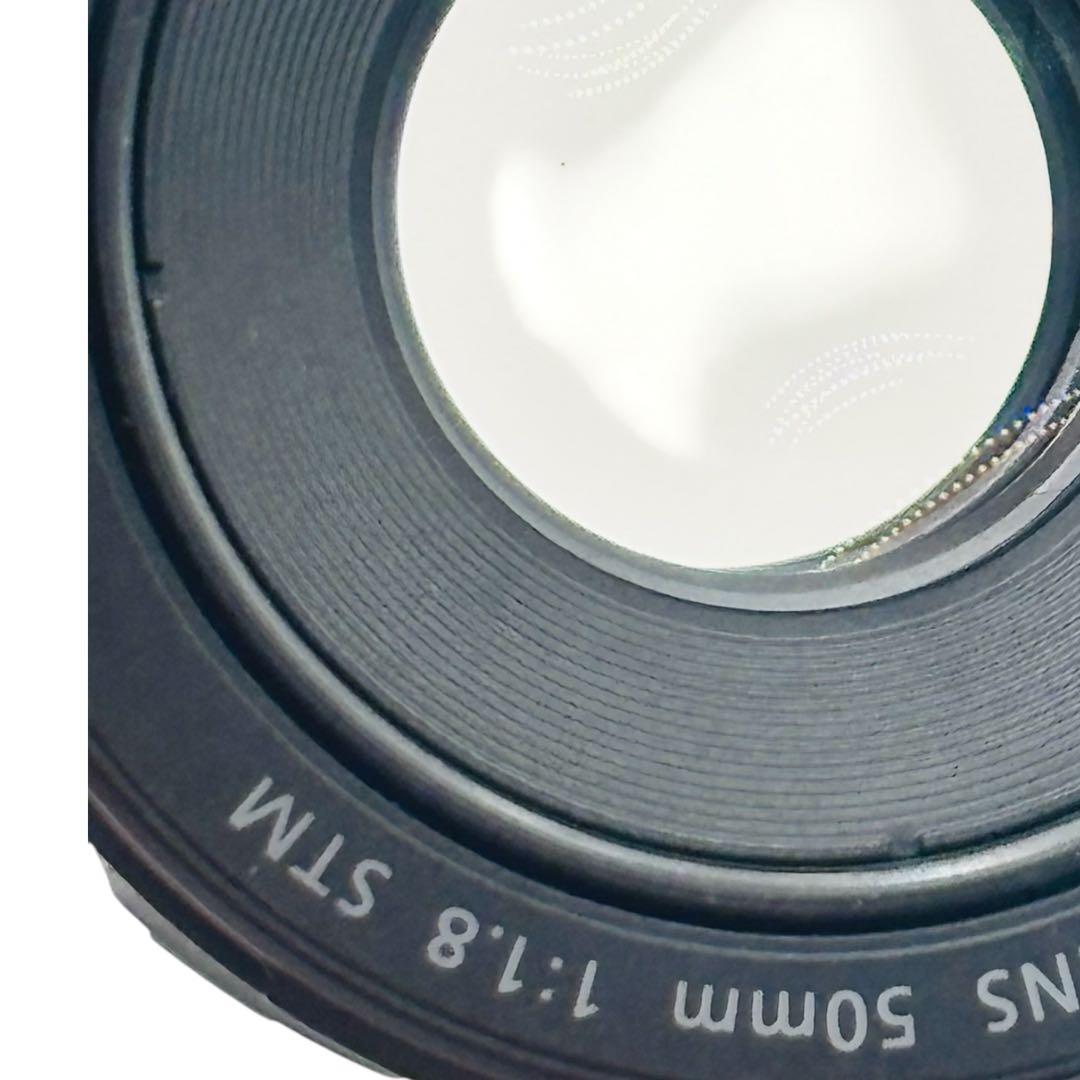 Canon EOS 6D Mark II レンズ2本セット