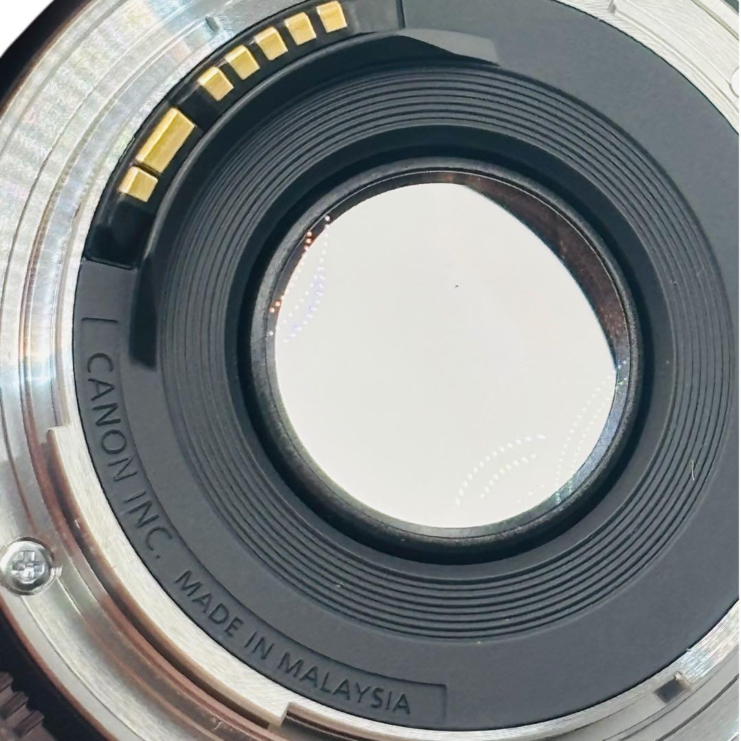 Canon EOS 6D Mark II レンズ2本セット