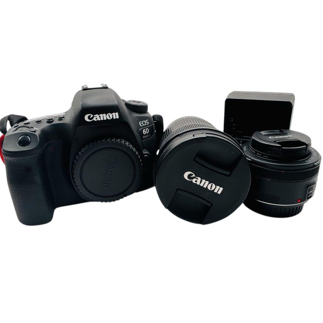 Canon EOS 6D Mark II レンズ2本セット