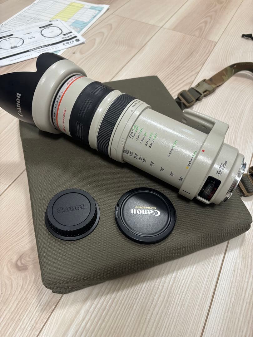 レンズ(ズーム) Canon EF 35-350mm F3.5-5.6 L USM