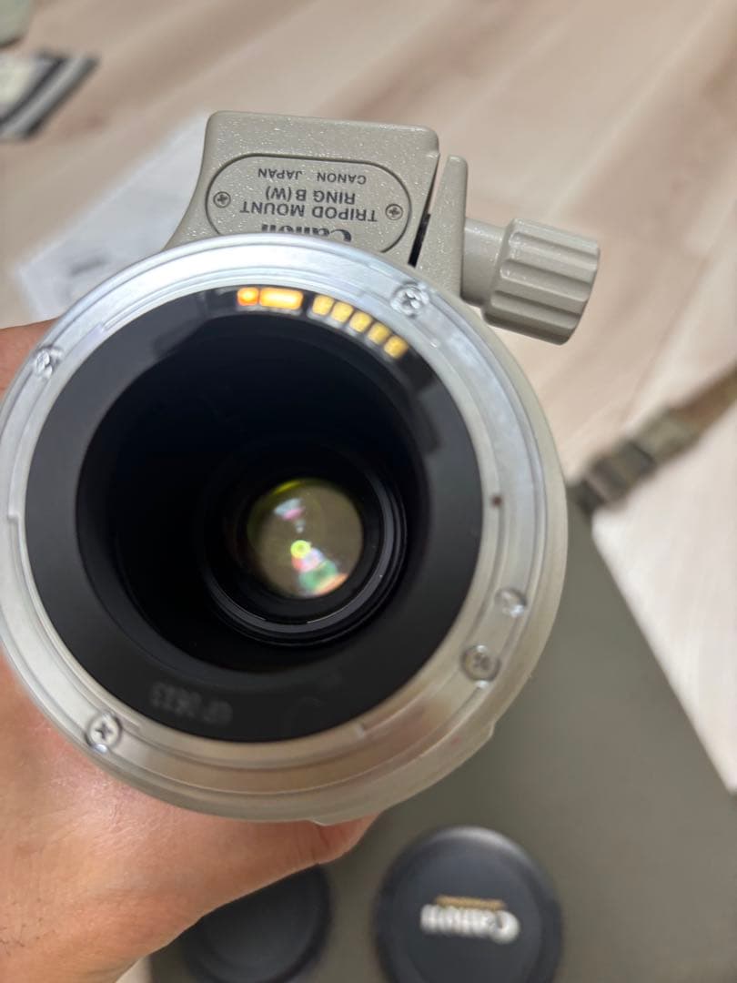 レンズ(ズーム) Canon EF 35-350mm F3.5-5.6 L USM