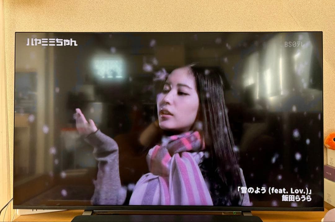 TOSHIBA 50インチ液晶テレビ REGZA 50M530X