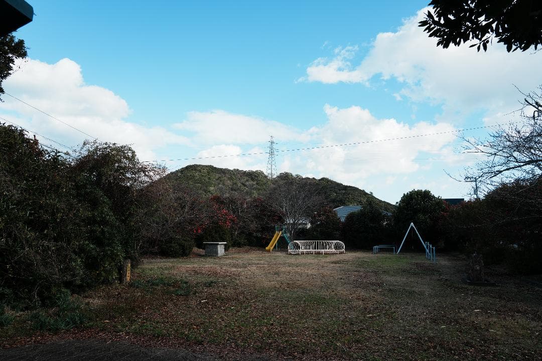 プロが選ぶ旅行最適レンズ SONY SEL24105G 極美品 万能ズームレンズ