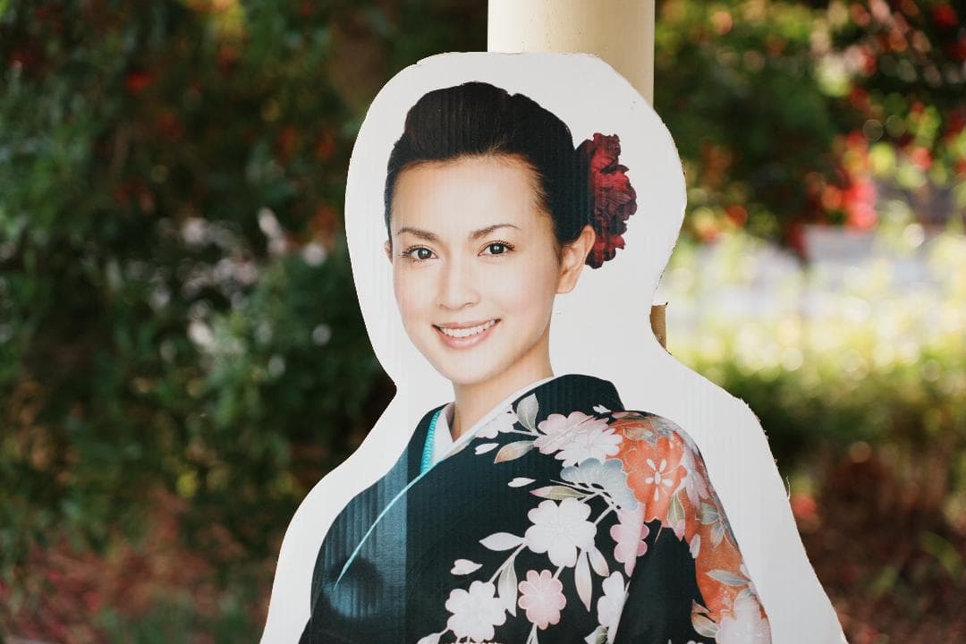 プロが選ぶ旅行最適レンズ SONY SEL24105G 極美品 万能ズームレンズ