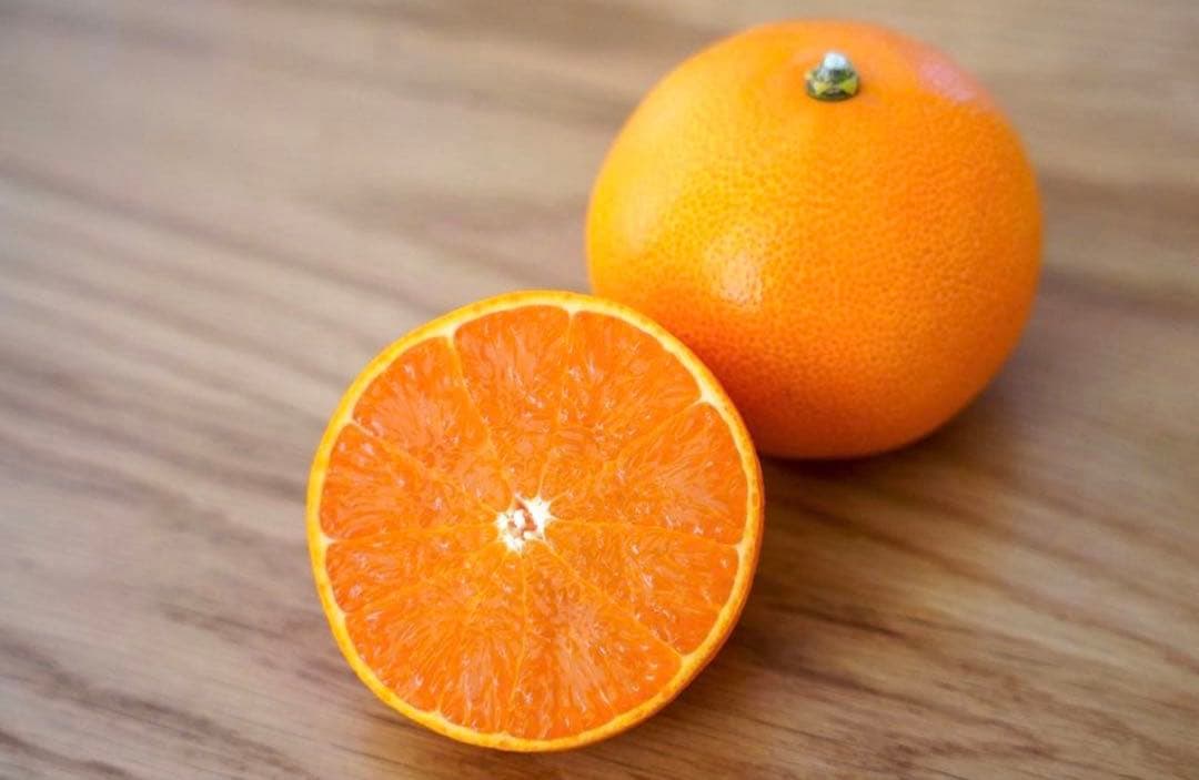 島のせとか　おうち用 箱込5kg×2箱